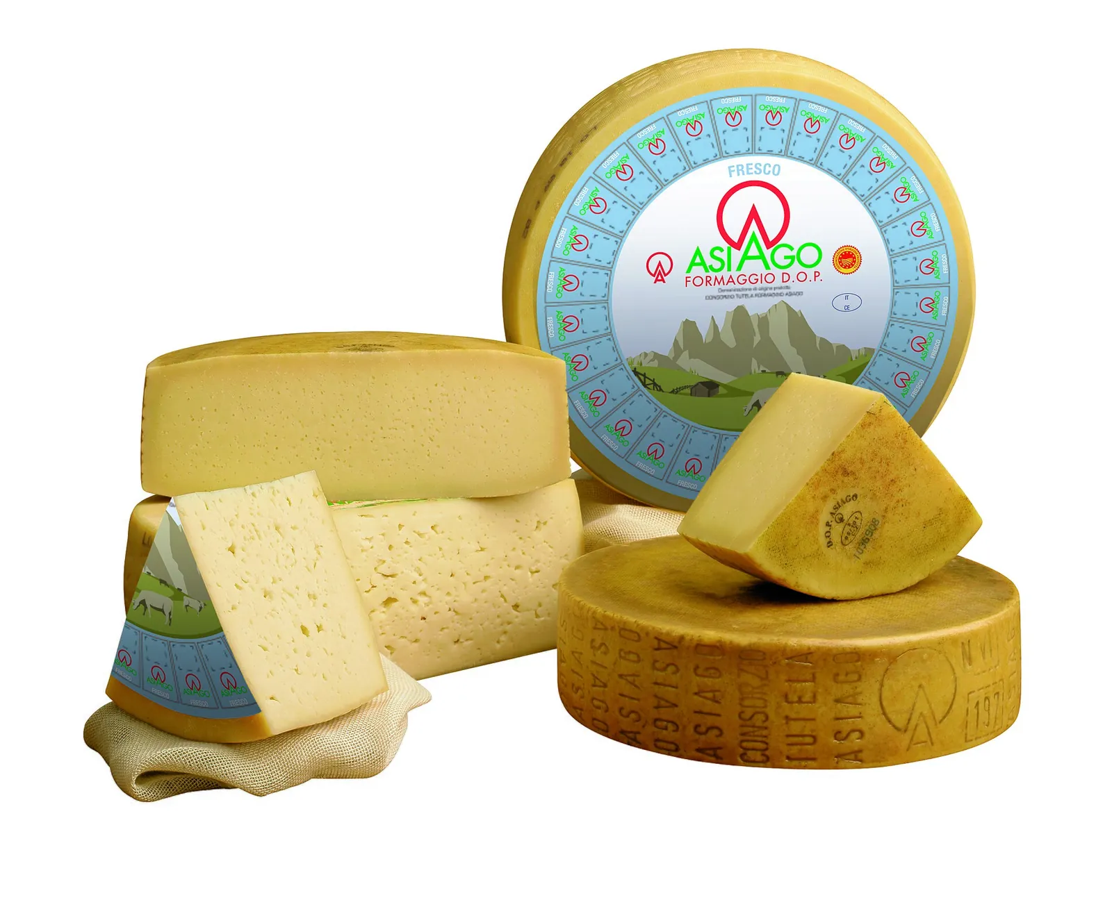 Wheels and wedges of fresh and aged Asiago DOP with the Asiago label