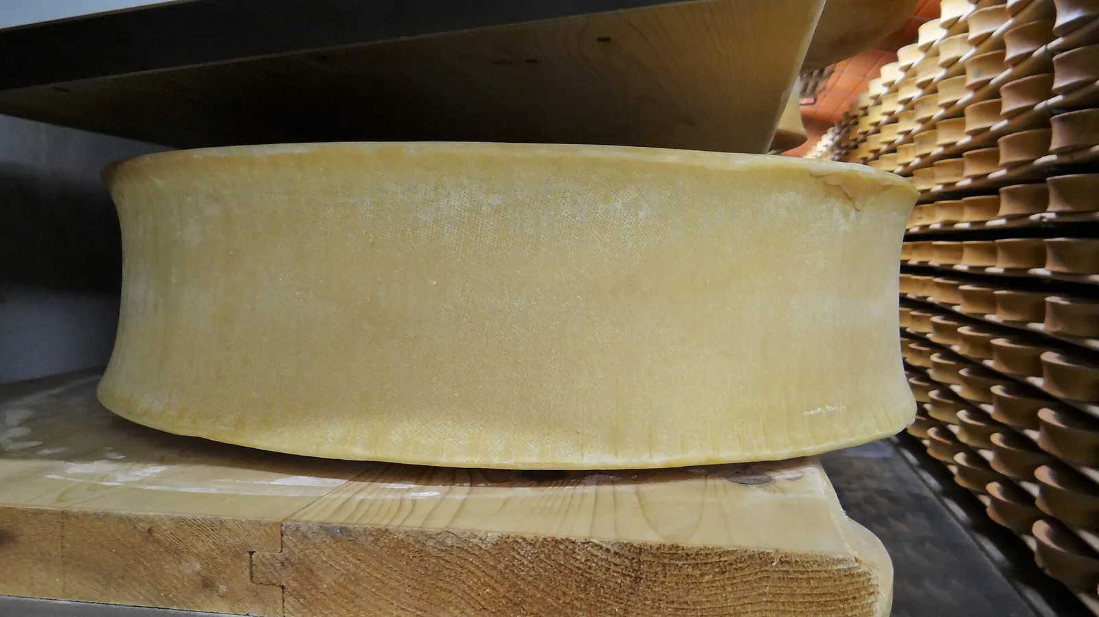 The concave side of a Beaufort wheel aging on a wooden board in a cellar