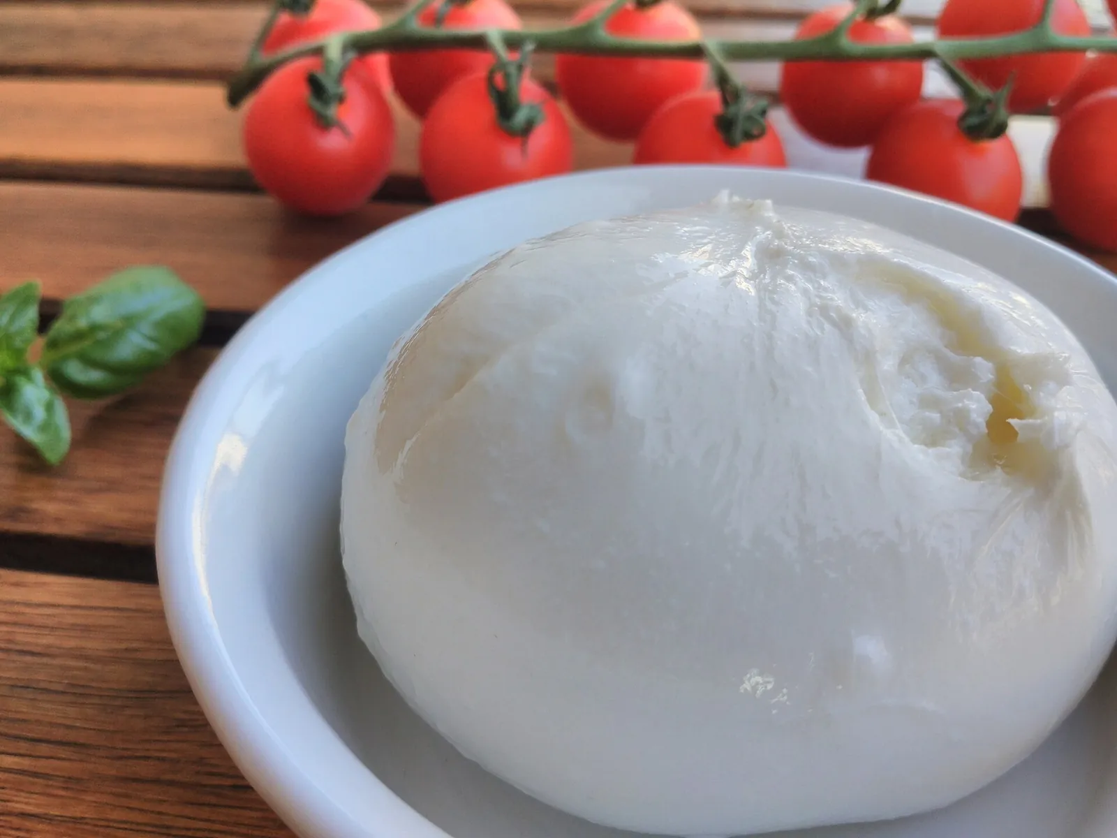 A whole burrata on a white plate with cherry tomatoes and basil behind it