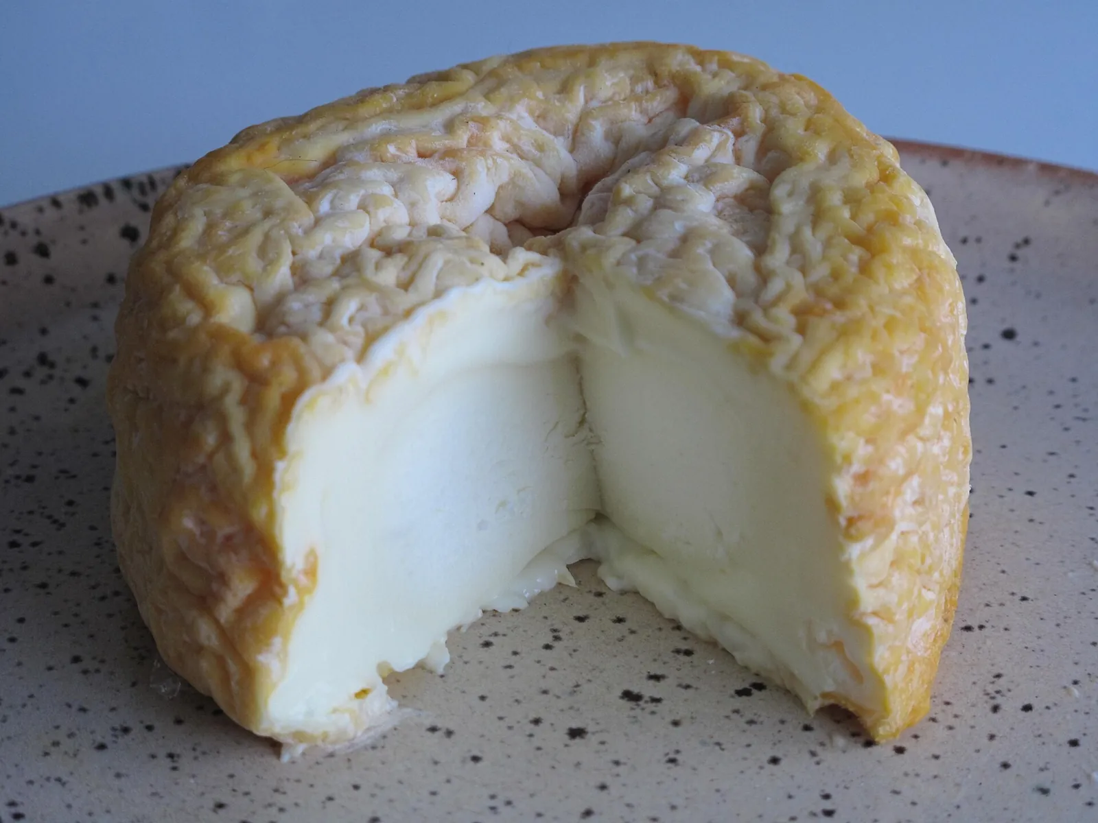 A whole Langres cheese with a wrinkled orange-washed rind and a wedge cut out, showing the soft white center, on a speckled plate.