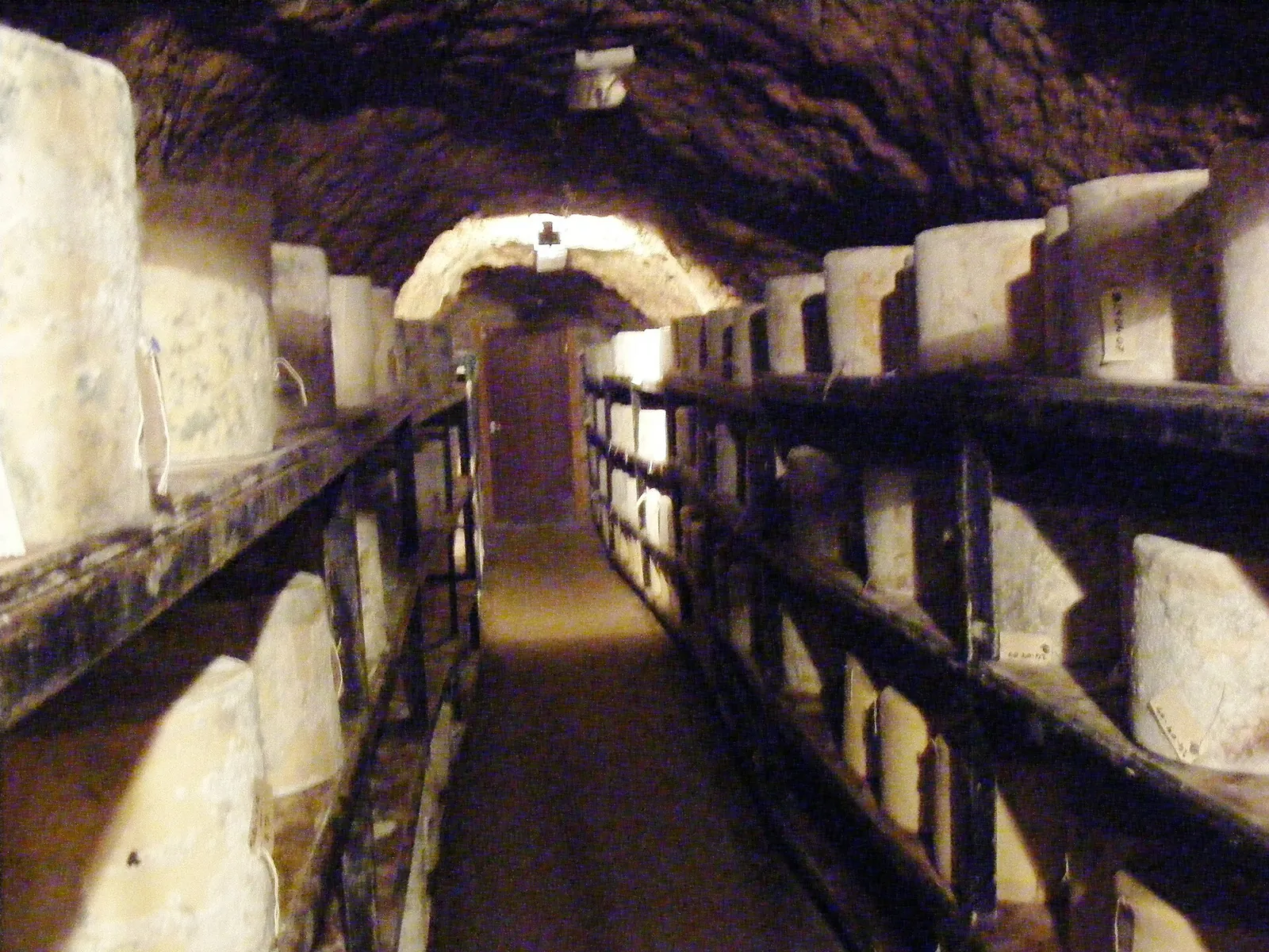 A narrow stone-walled cheese cave lined on both sides with wooden shelves holding large aging cheese wheels.