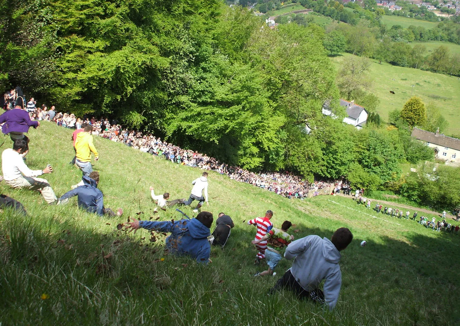 Runners tumbling down a steep grassy hill during the Cooper's Hill cheese rolling race