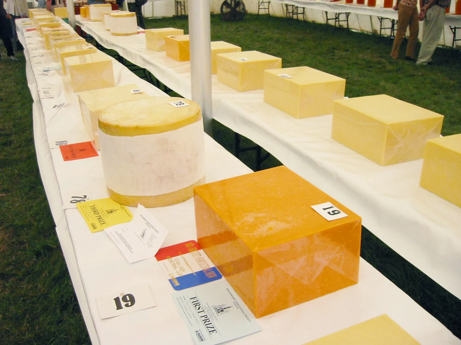 Blocks of Cheddar lined up on a long table for judging at an agricultural show, with entry numbers