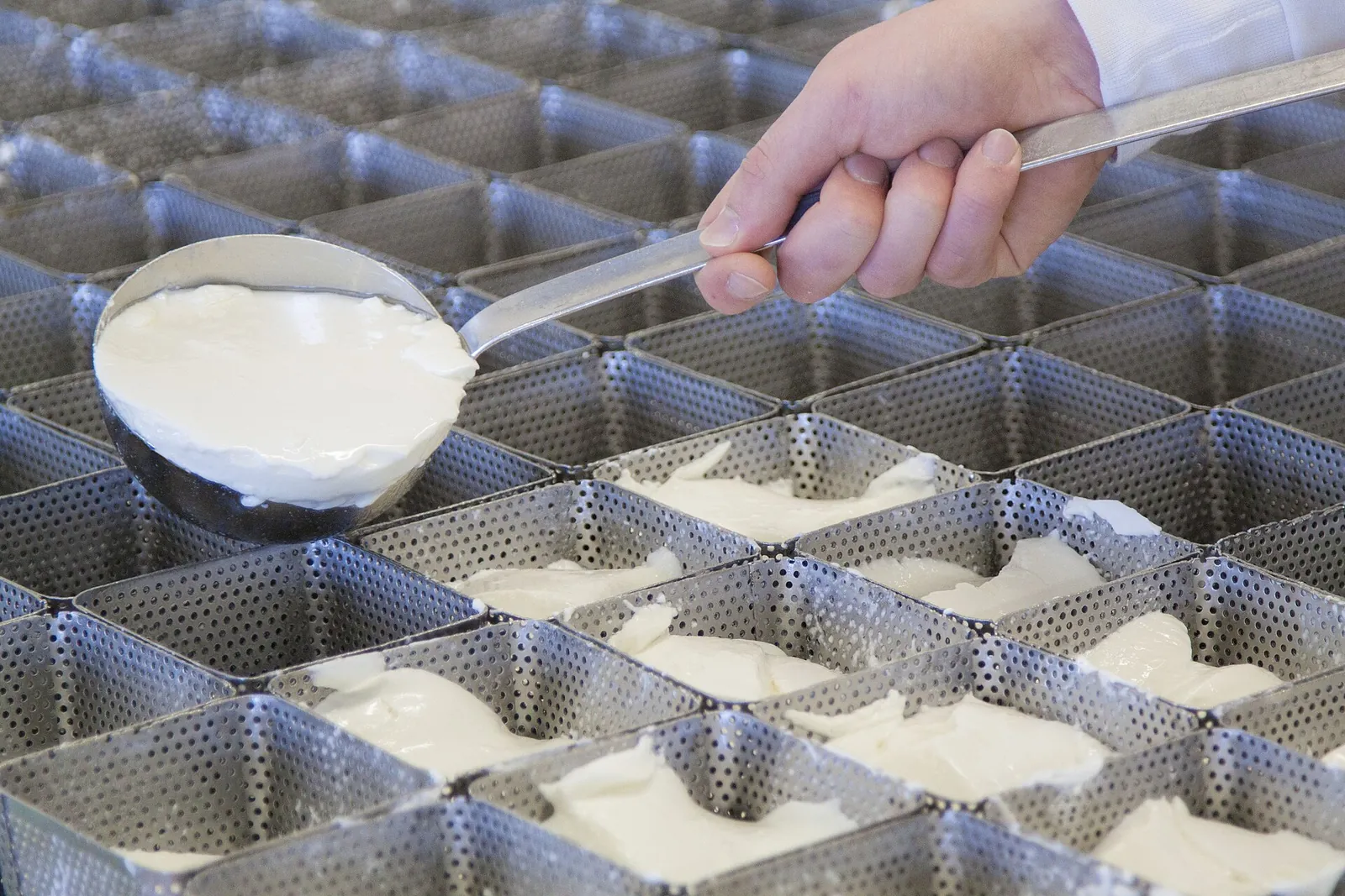 A hand pours a ladle of fresh white maquée curd into a tray of small square perforated molds at a Belgian dairy.