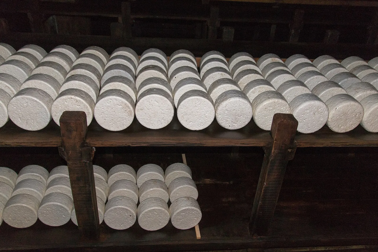 Rows of white Roquefort cheeses standing on edge on dark wooden racks in a ripening cellar in Roquefort-sur-Soulzon, France.