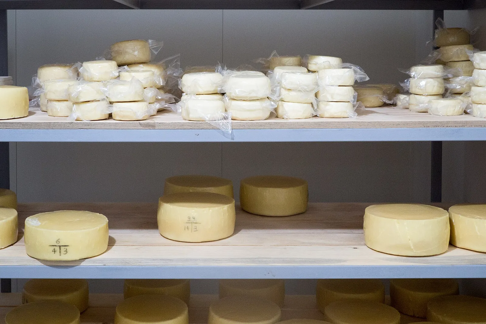 Shelves in a Greek creamery holding stacks of small fresh white cheeses in plastic wrap above larger round yellow cheeses ripening on boards.