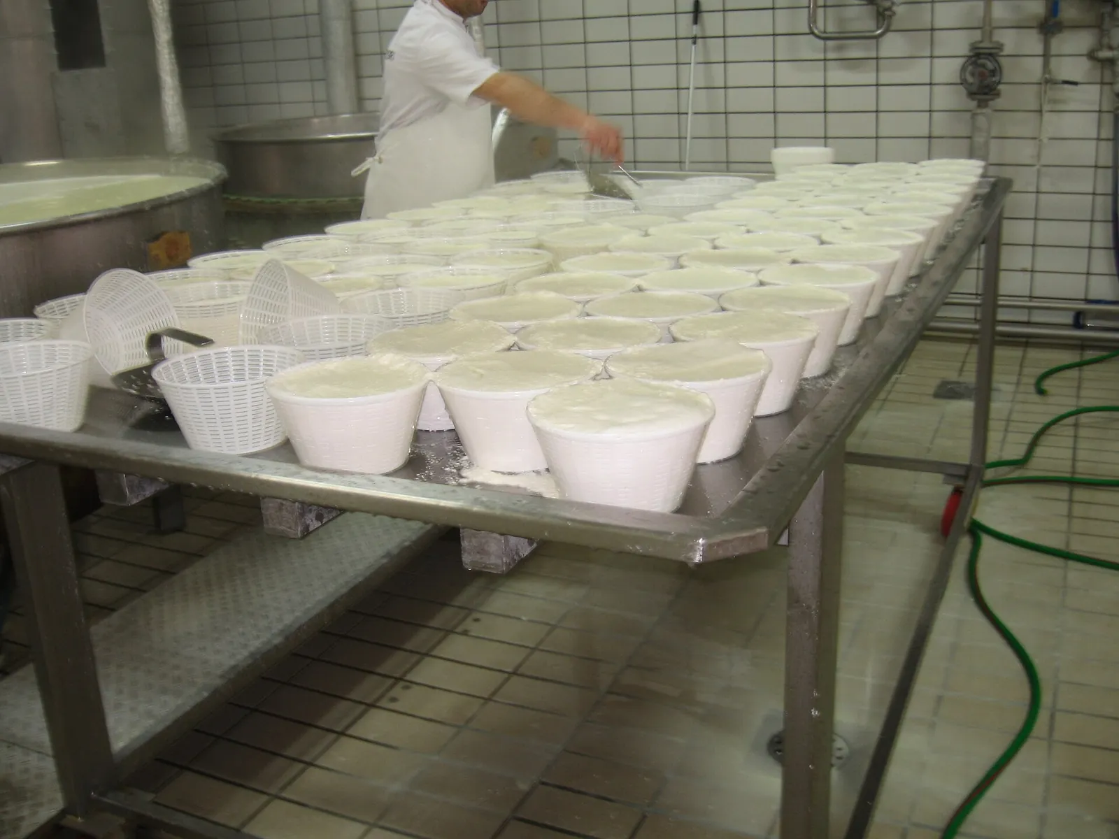 A cheesemaker in a white coat works at a steel table covered with white baskets filled with fresh curd in a Sardinian dairy.