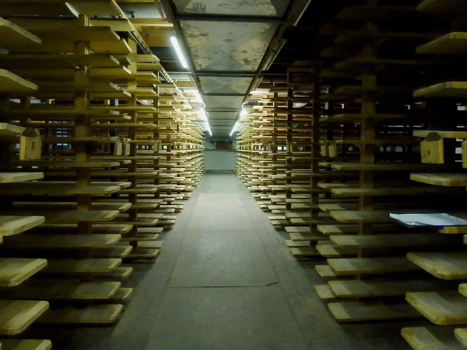 A long aisle between tall wooden shelves of ripening cheese in the De Producent cheese warehouse in Gouda, the Netherlands.