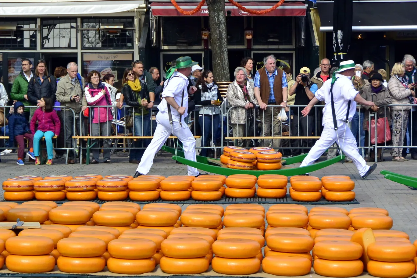 Rows of round orange Gouda cheeses laid out on the cobblestones at the Alkmaar cheese market, with carriers in white and straw hats behind them.