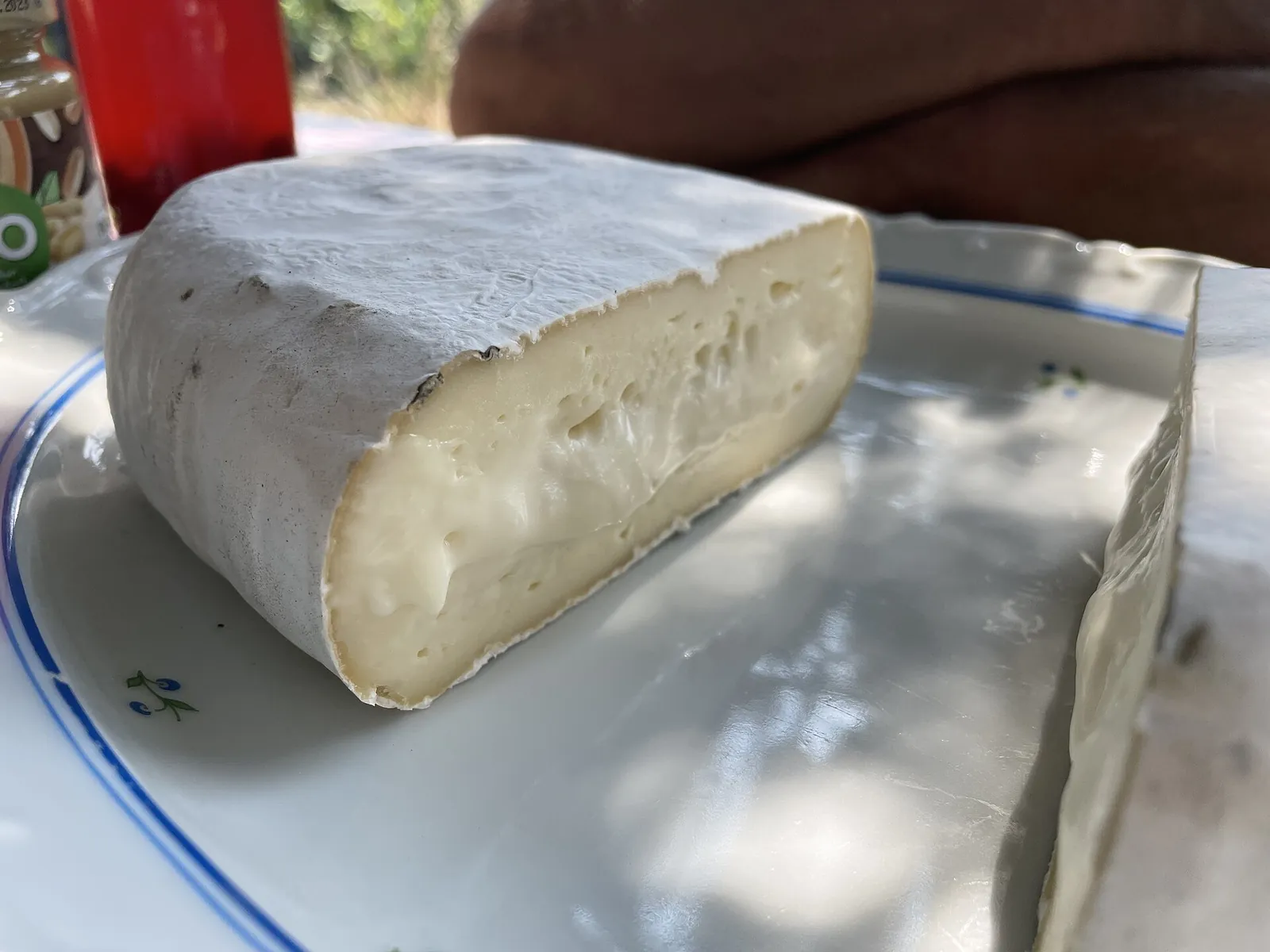 A bloomy-rind cheese cut in half on a plate, showing its thin pale rind around soft creamy white paste.