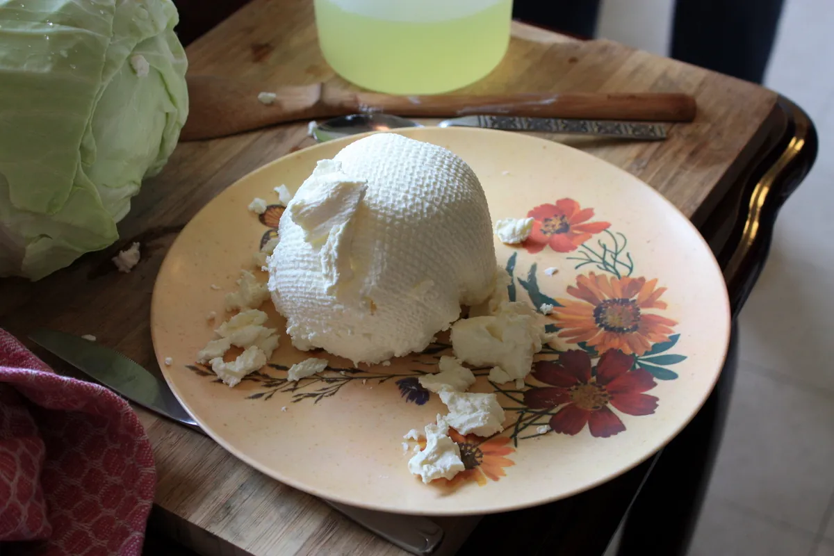 A mound of thick white labneh on a plate