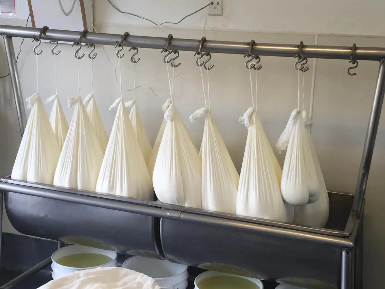 Rows of cheesecloth bags full of fresh goat cheese curd hanging from a steel rack to drain over a trough.
