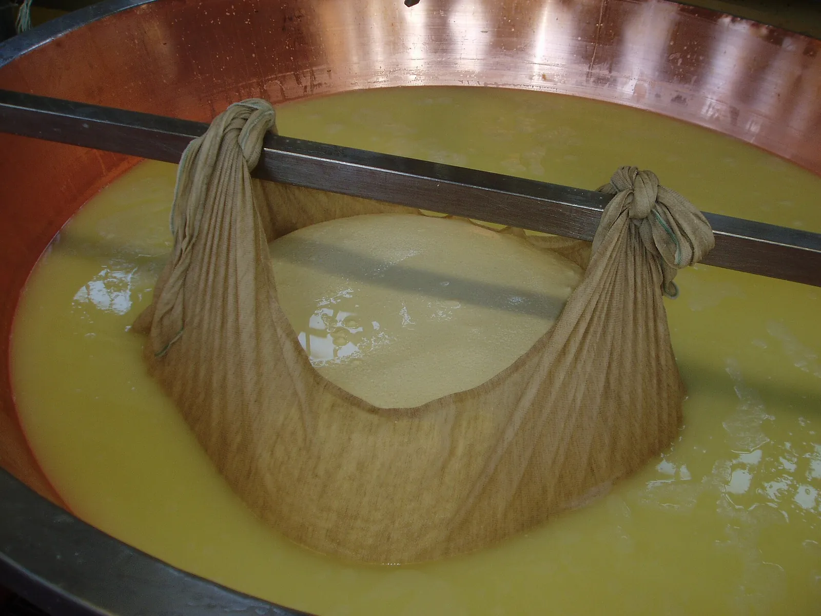 Cheesemakers lifting a mass of curd from a copper vat in a cloth, for Parmigiano Reggiano
