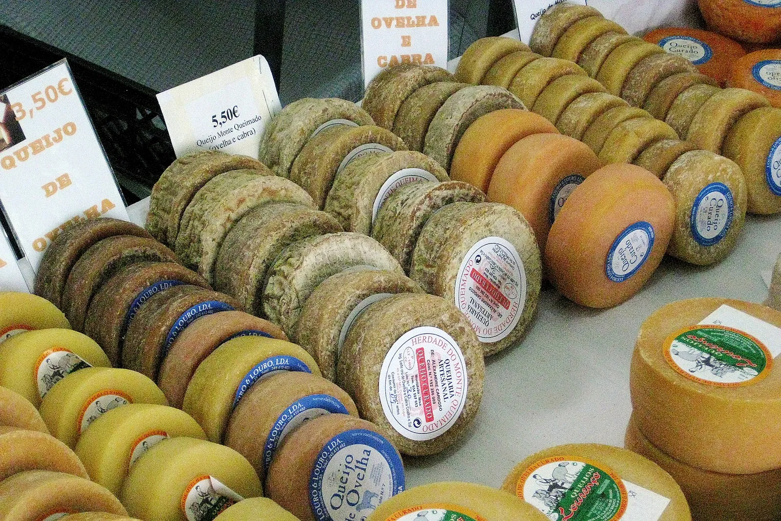 Rows of small round Portuguese sheep's milk cheeses with green and orange rinds and blue labels, arranged on a market counter.