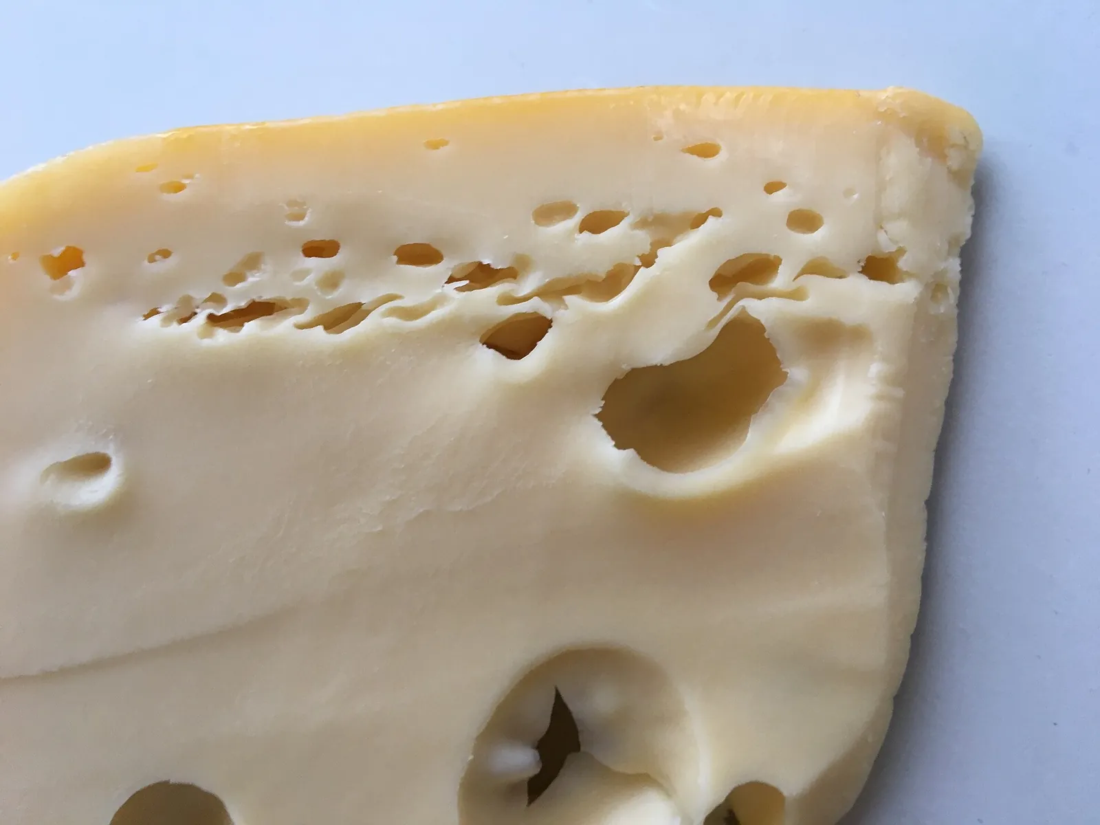 A close view of a Maasdam wedge showing its smooth pale yellow paste and a row of small and large round holes