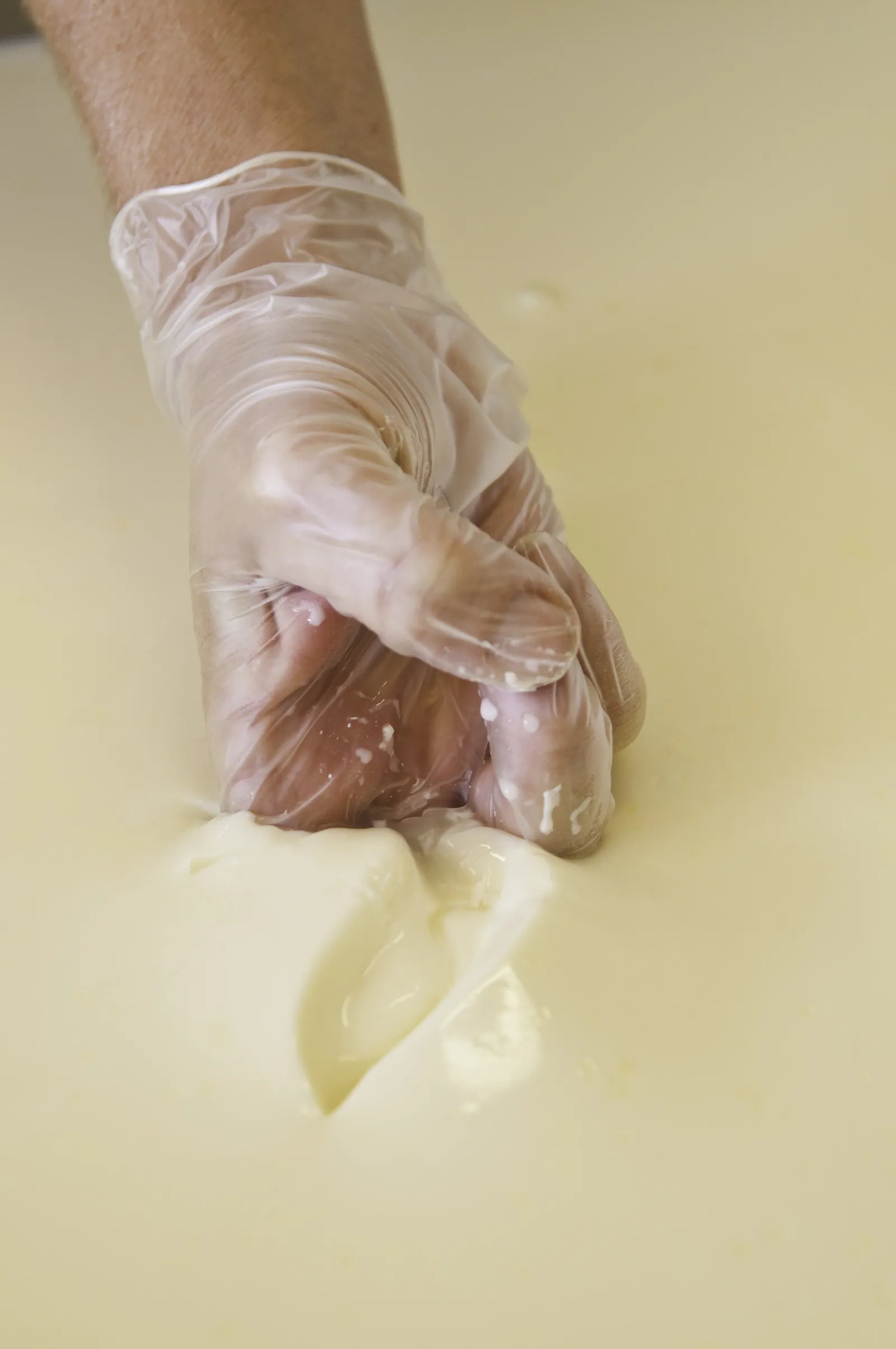 A gloved hand lifting a fold of smooth, set curd from a vat of milk to check for a clean break.