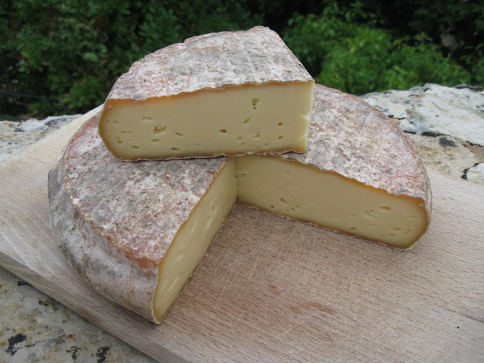 A whole Saint-Nectaire wheel with a wedge removed, showing pale paste and a mottled rind, on a board outdoors