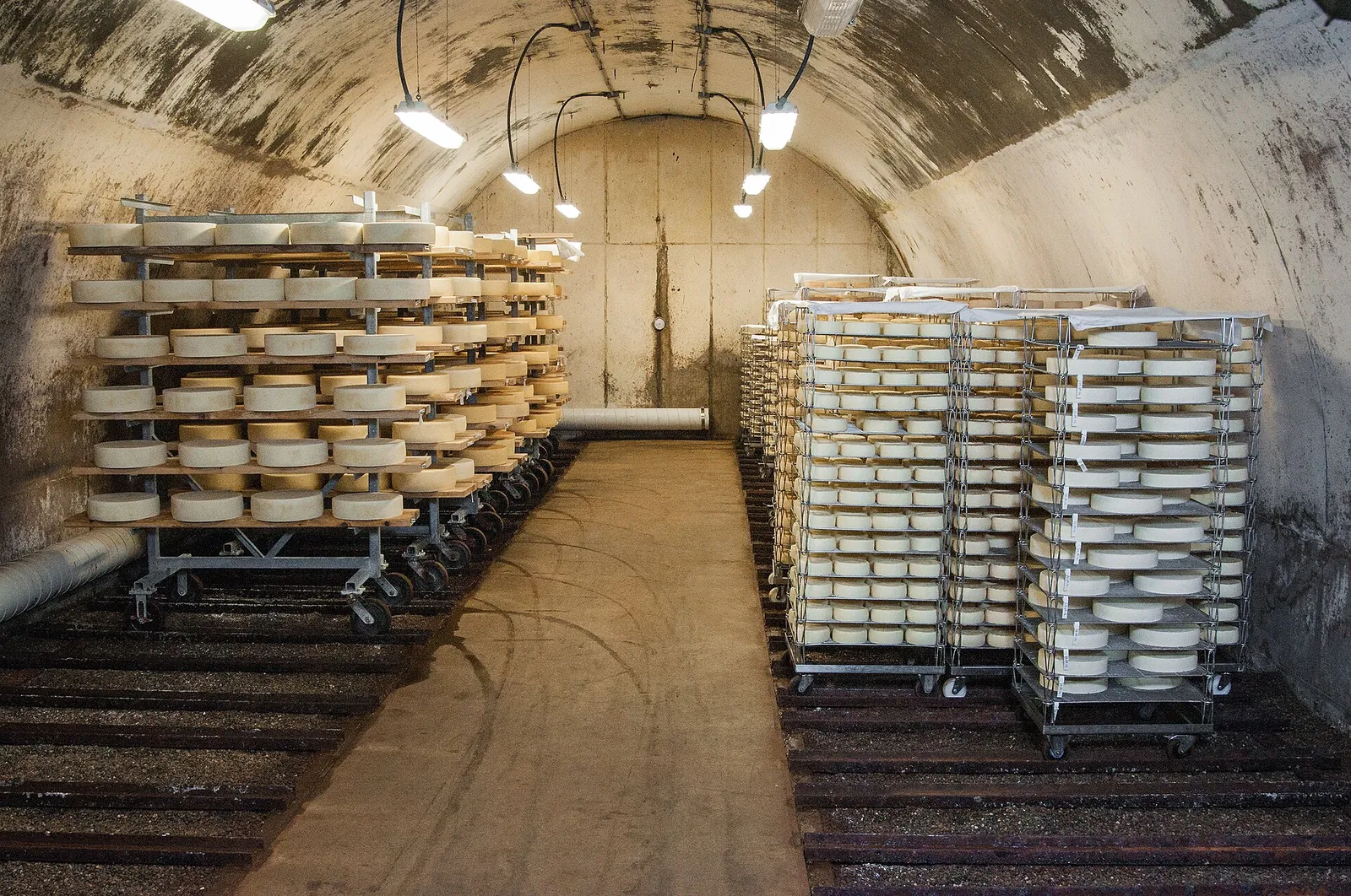 An underground aging cave at Jasper Hill in Greensboro, Vermont, with racks of cheese wheels on shelves along a concrete-lined tunnel.